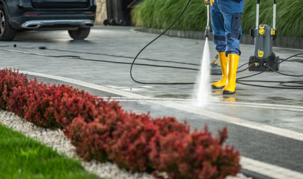 Best Fence Pressure Washing  in Bridgeport, AL