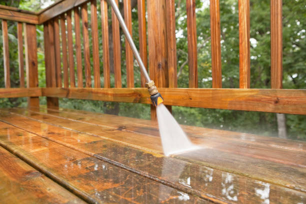 Best Local Pressure Washing Services  in Bridgeport, AL