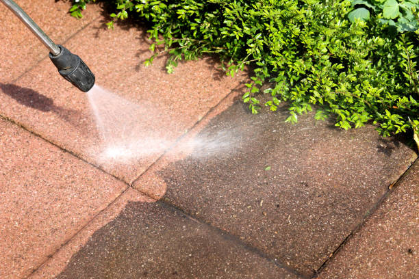 Best Residential Pressure Washing Services  in Bridgeport, AL